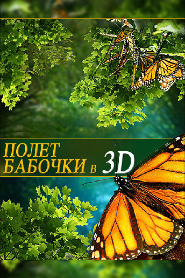 Постер Полет бабочки 3D