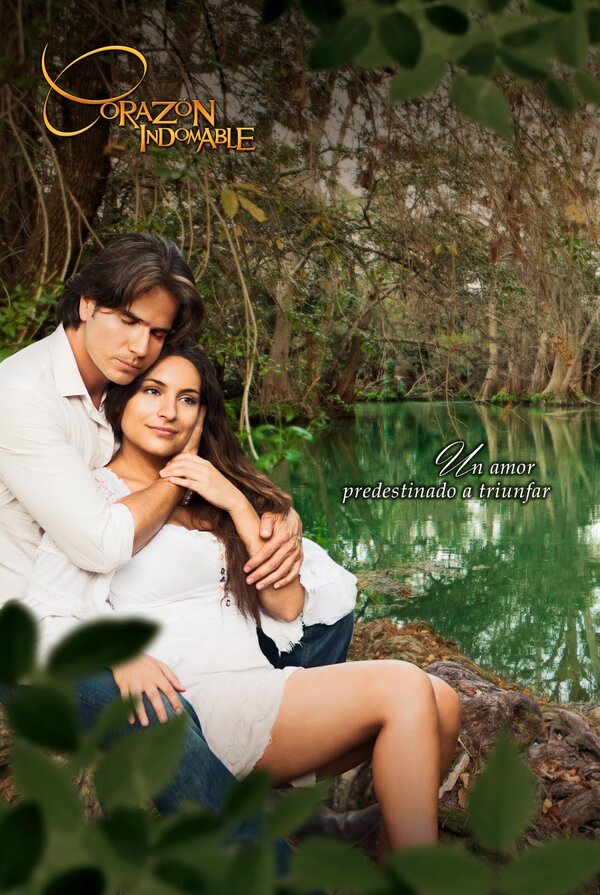 Постер Непокорное сердце