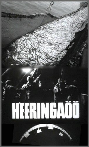 Постер Ночь селедок