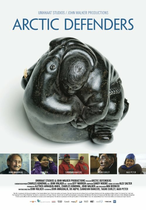 Постер Arctic Defenders