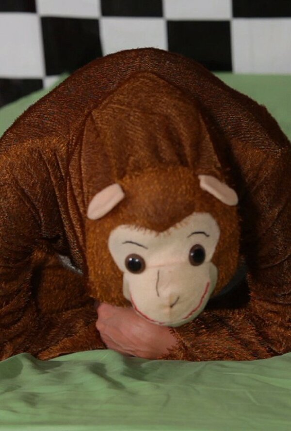 Постер The Five Little Monkeys