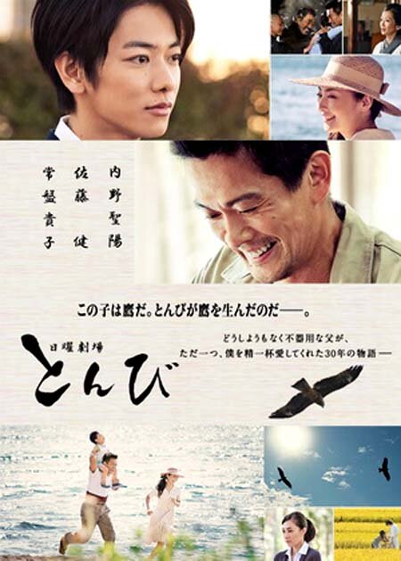 Постер Коршун