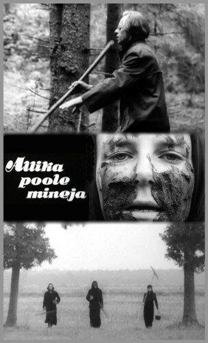 Постер Идущий к источнику