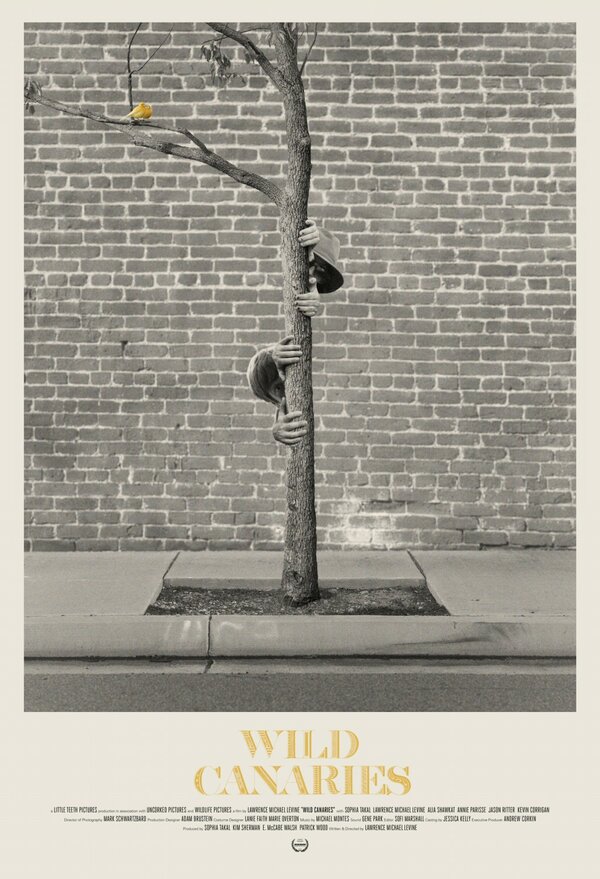 Постер Дикие канарейки