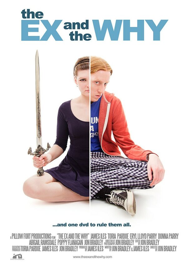 Постер The Ex and the Why