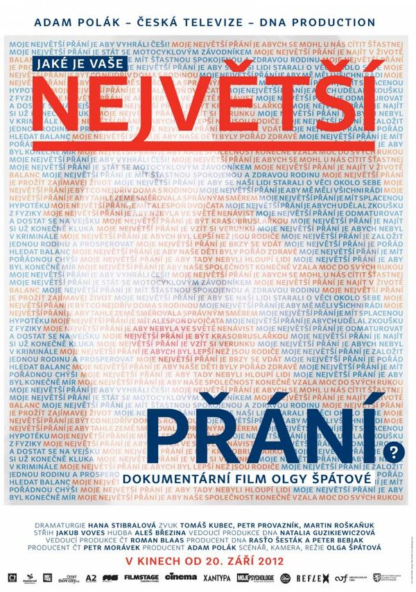 Постер Nejvetsí prání 3