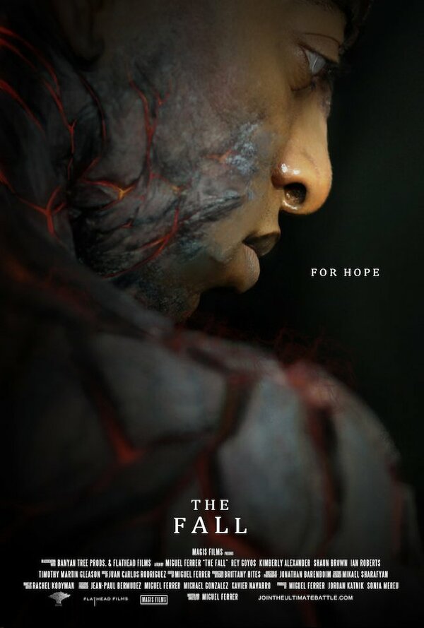 Постер Падение