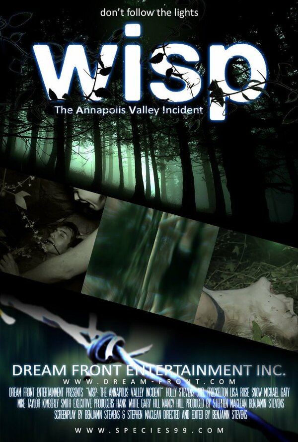 Постер Wisp