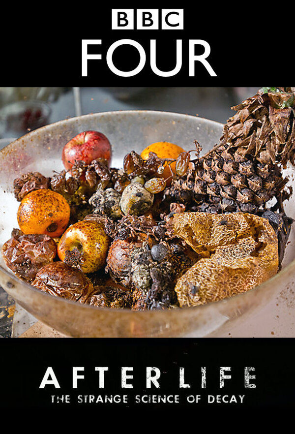 Постер После смерти: Загадочная наука разложения