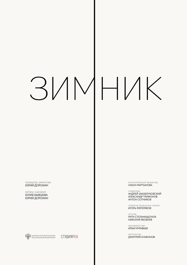 Постер Зимник