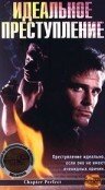 Постер Идеальное преступление