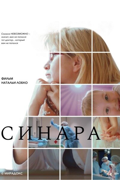 Постер Синара