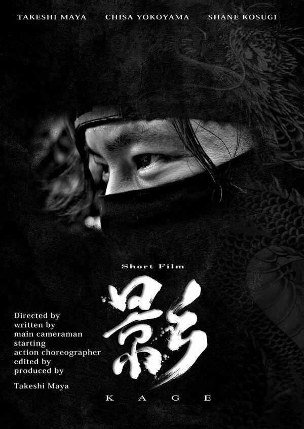 Постер Тень