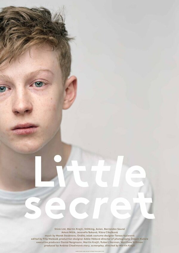 Постер Little Secret