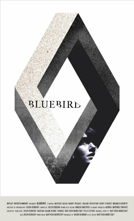 Постер Bluebird