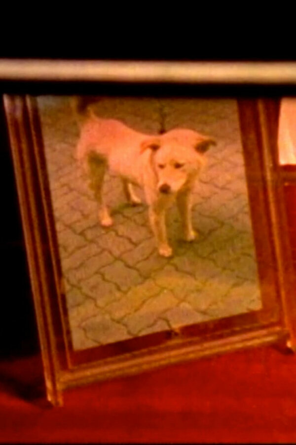 Постер Воспоминания в моей рамке