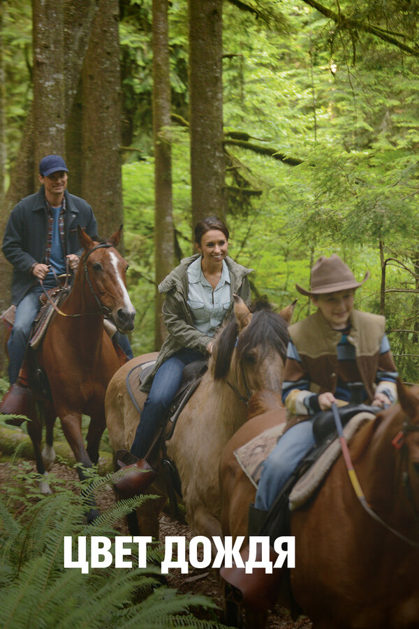 Постер Цвет дождя