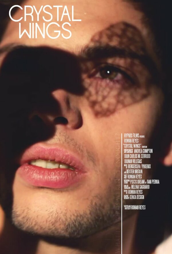 Постер Crystal Wings