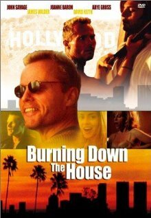 Постер Burning Down the House