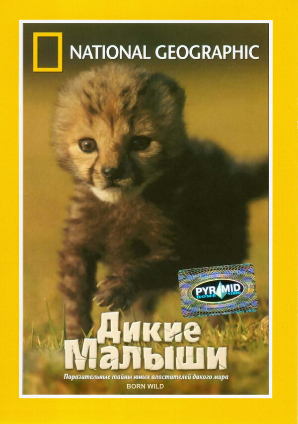 Постер НГО: Дикие малыши