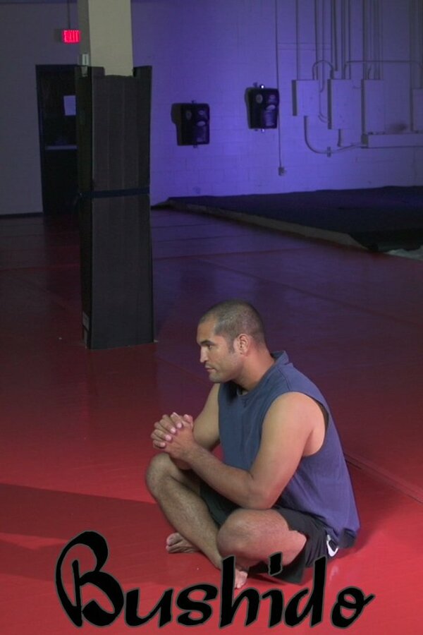 Постер Bushido