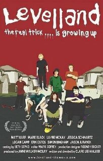 Постер Levelland