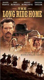 Постер Долгая поездка домой