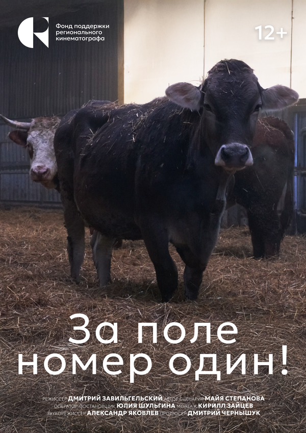 Постер За поле номер один!