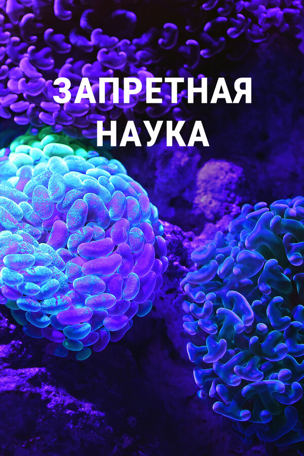 Постер Запретная наука