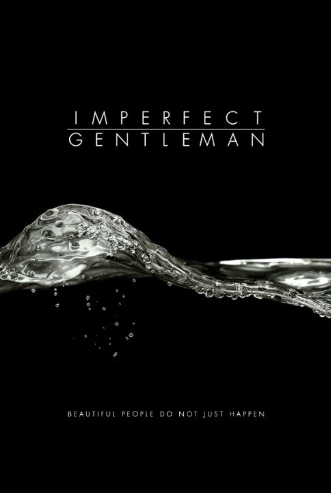 Постер Imperfect Gentleman