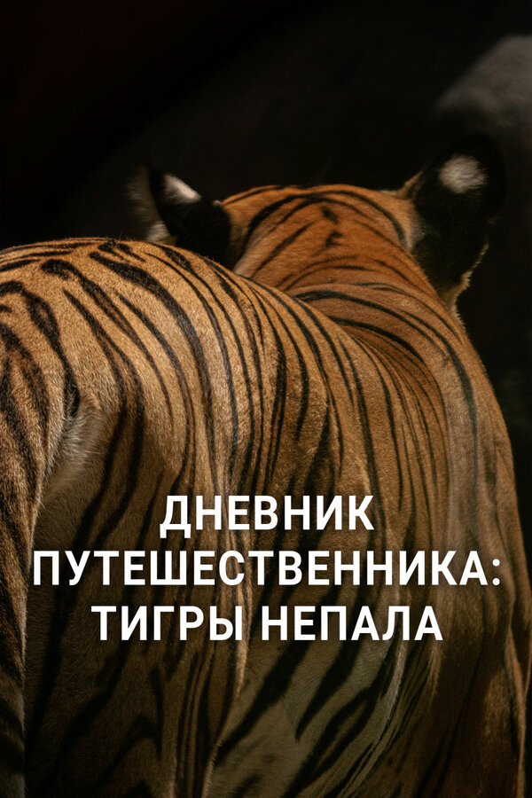 Постер Дневник путешественника: Тигры Непала