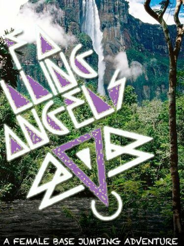 Постер Falling Angels