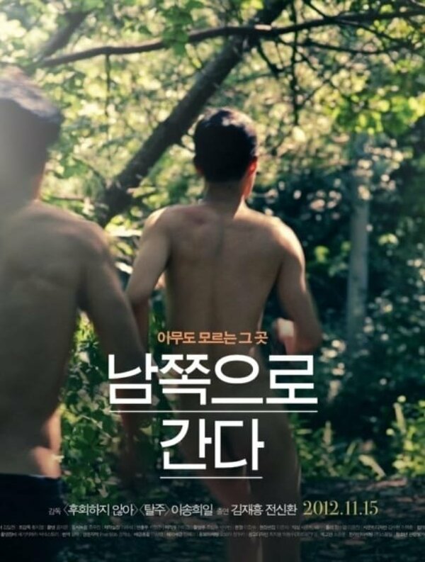 Постер Строго на юг