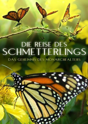 Постер Four Wings and a Prayer