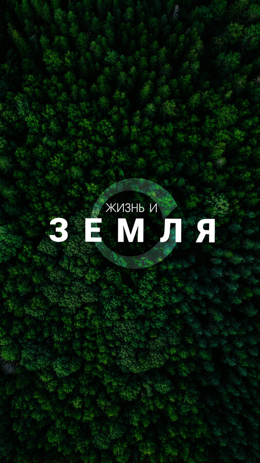 Постер Жизнь и Земля