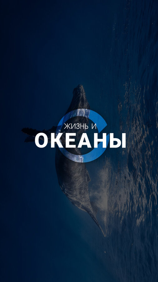 Постер Жизнь и Океаны