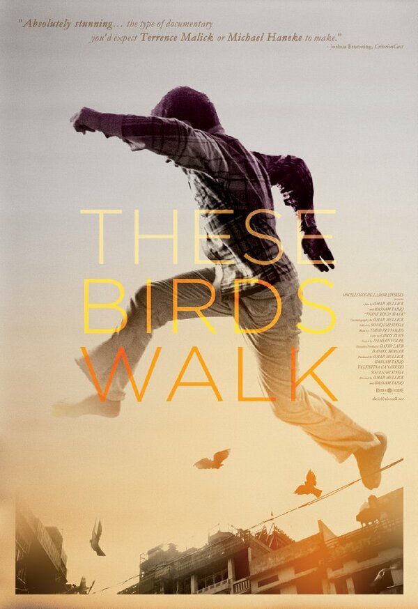 Постер These Birds Walk