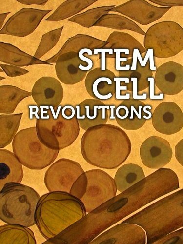 Постер Stem Cell Revolutions