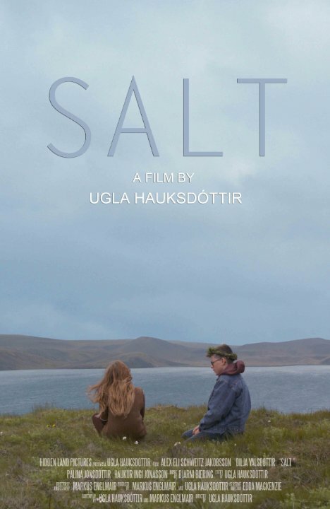 Постер Salt