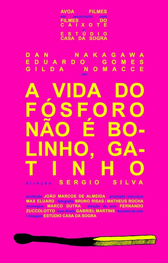 Постер A Vida do Fósforo Não É Bolinho, Gatinho