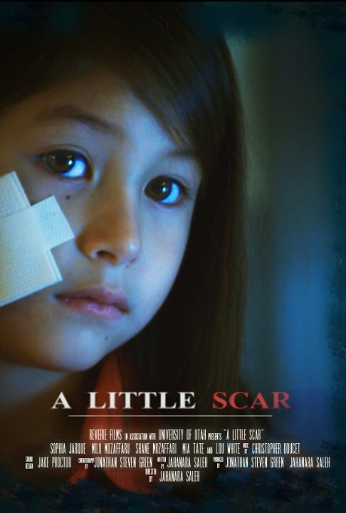 Постер A Little Scar