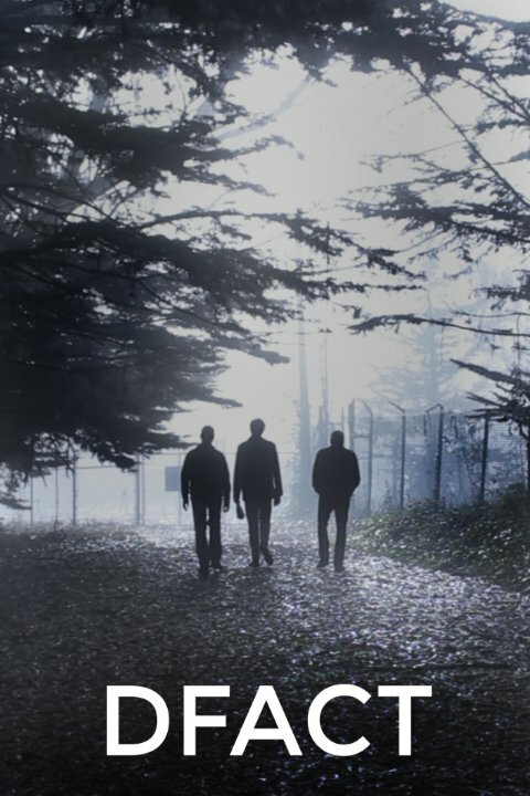 Постер Dfact