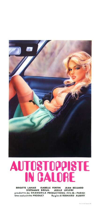 Постер Возбуждённые попутчицы