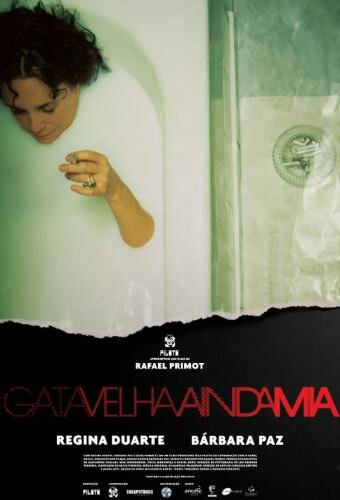 Постер Старая кошка всё ещё мяукает