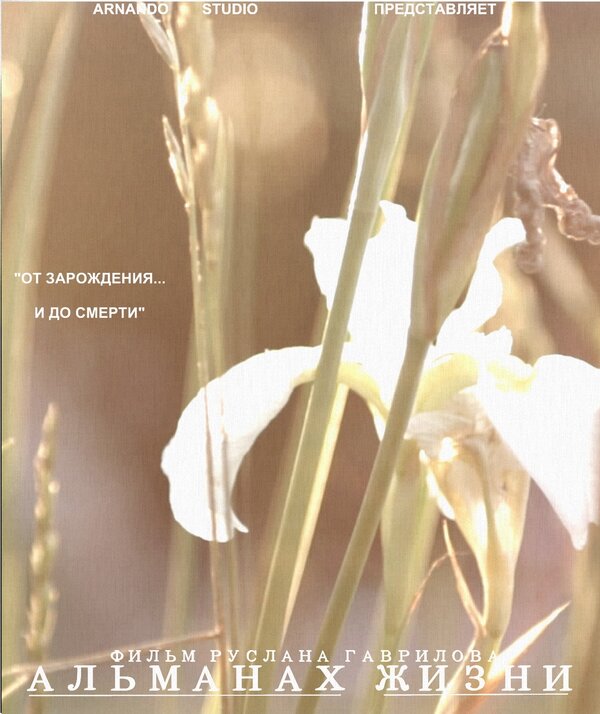 Постер Альманах жизни