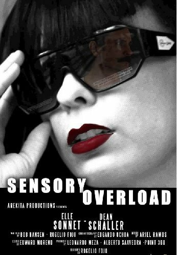 Постер Sensory Overload