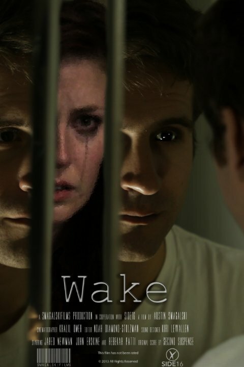 Постер Wake