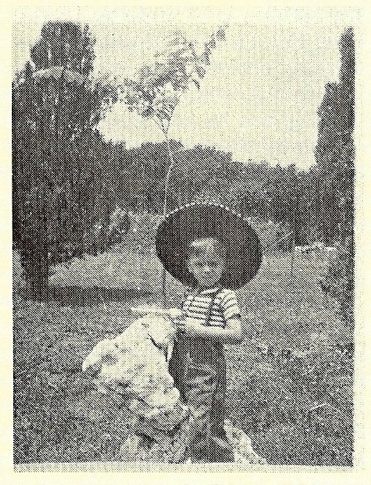 Постер Fly Like a Bumblebee