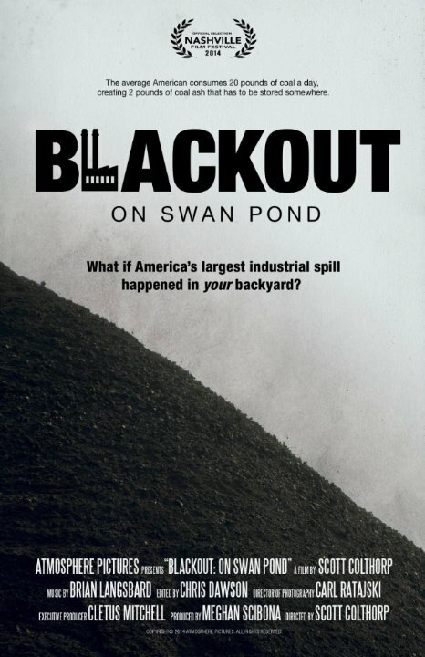 Постер Blackout: On Swan Pond