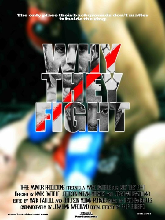 Постер Why They Fight